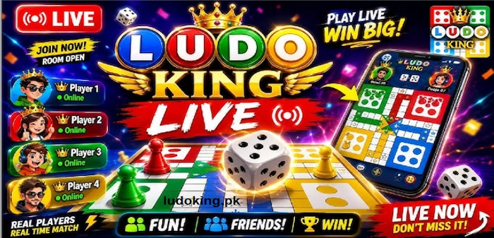 Ludo King features